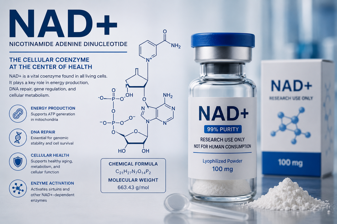 Where to Buy NAD+ Online Easy